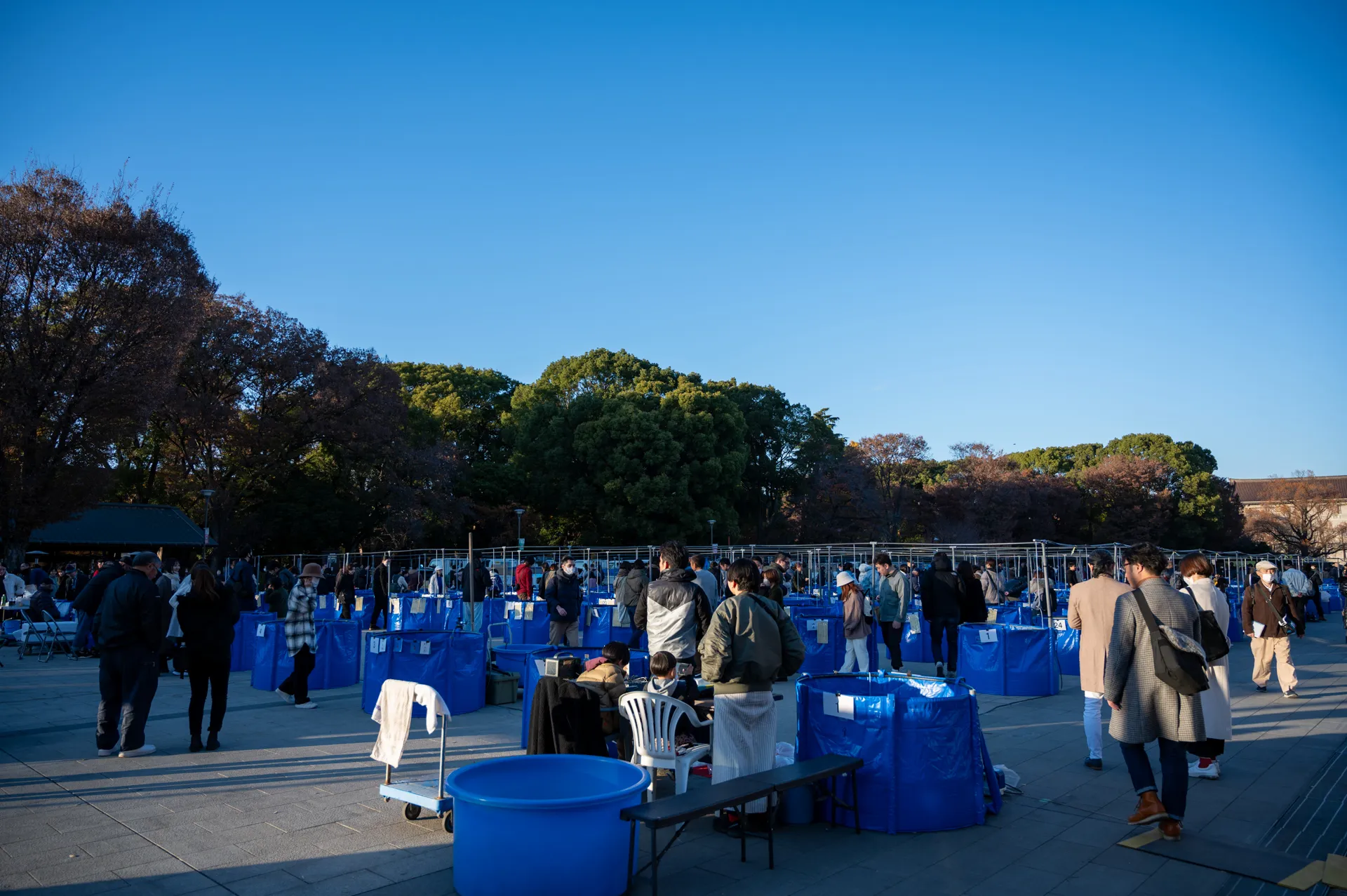 品評会の全体像