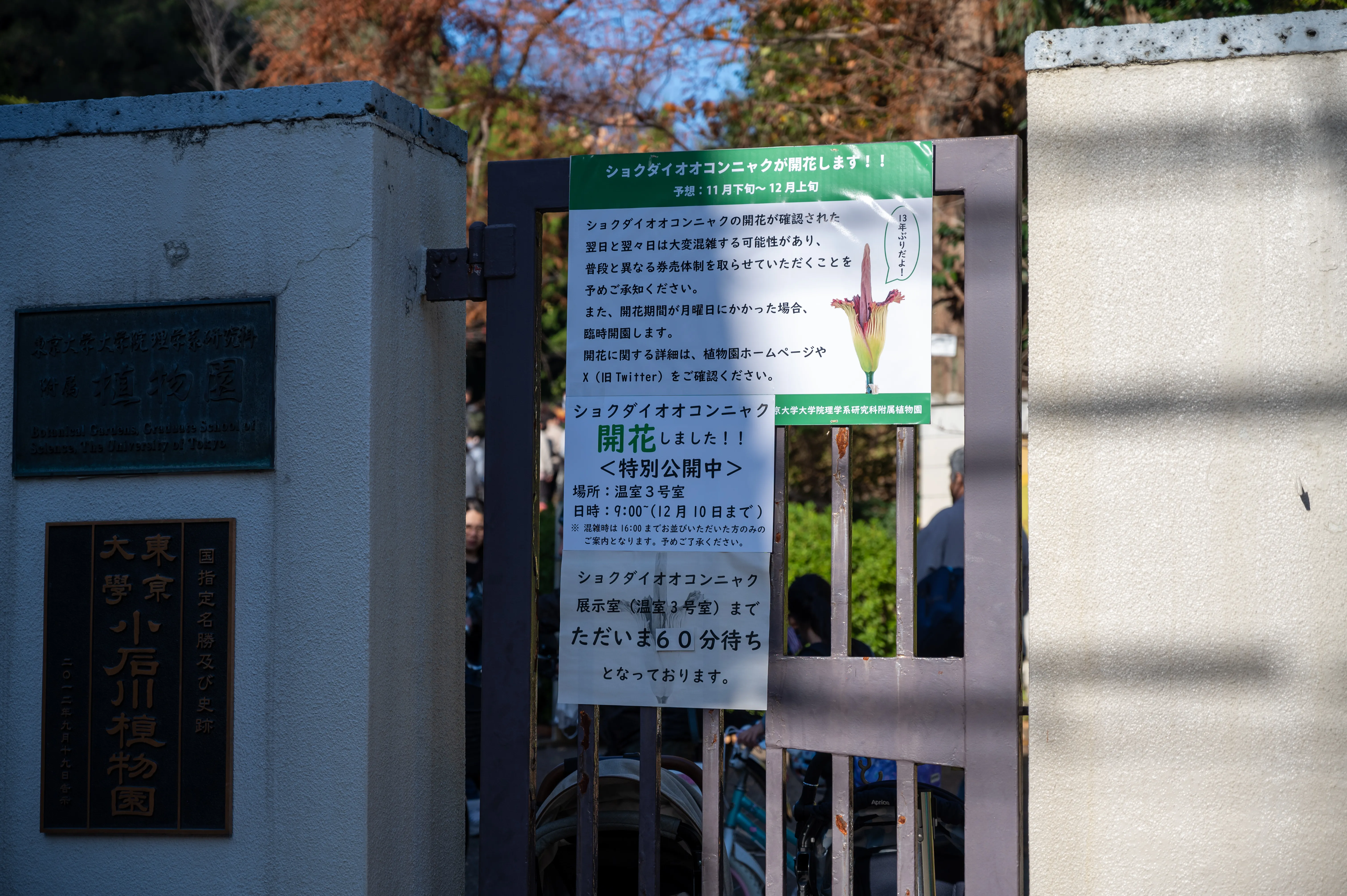 1時間待ち